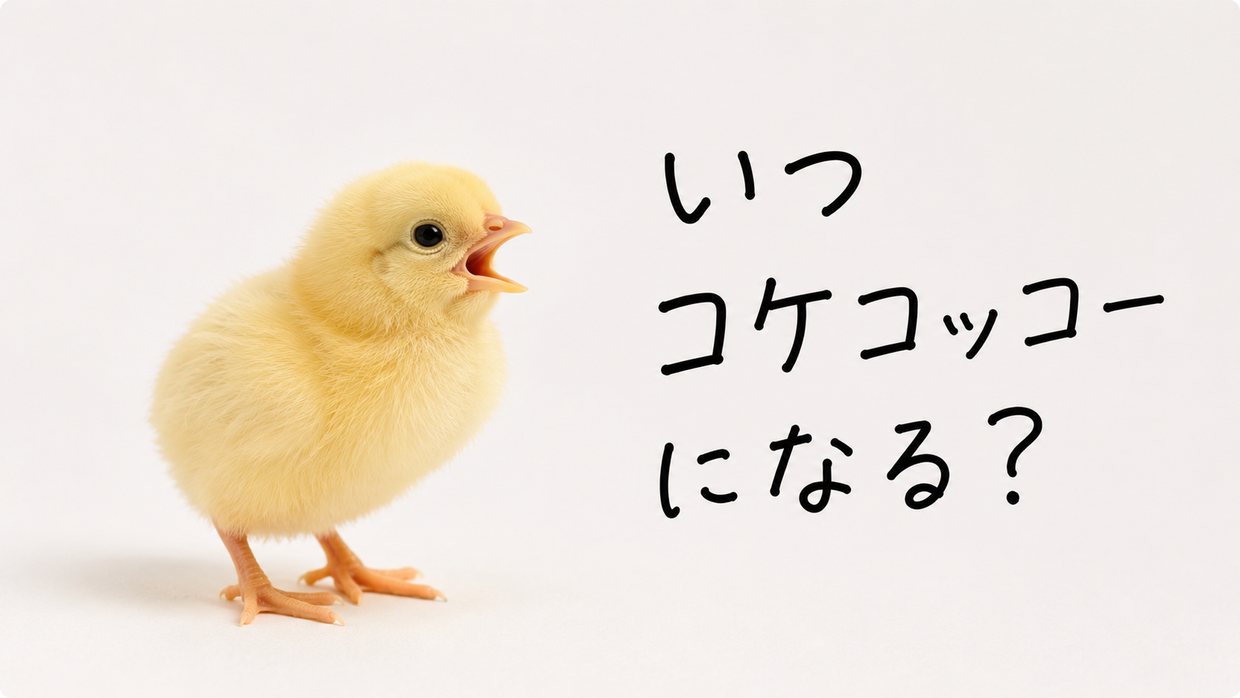 くちばしを開けてピヨピヨと鳴く、ふわふわのヒヨコ一羽の実写写真。手書きの文字で「いつコケコッコーになる？」